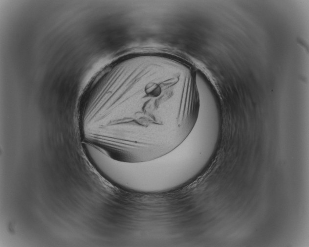 X0000095111464200801041149