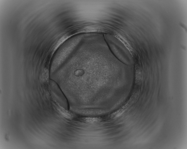 X0000095111465200801041149