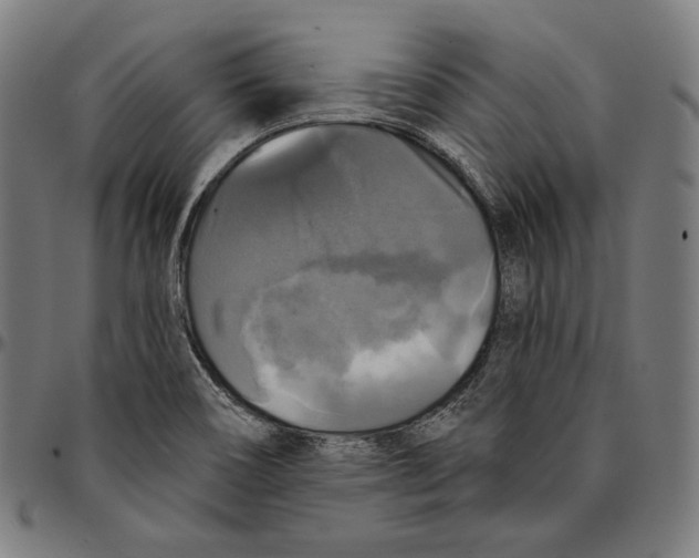 X0000095111466200801041149