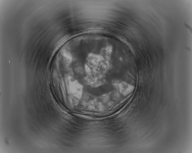 X0000095111467200801041149