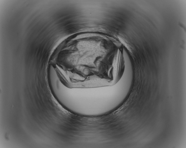 X0000095111468200801041149