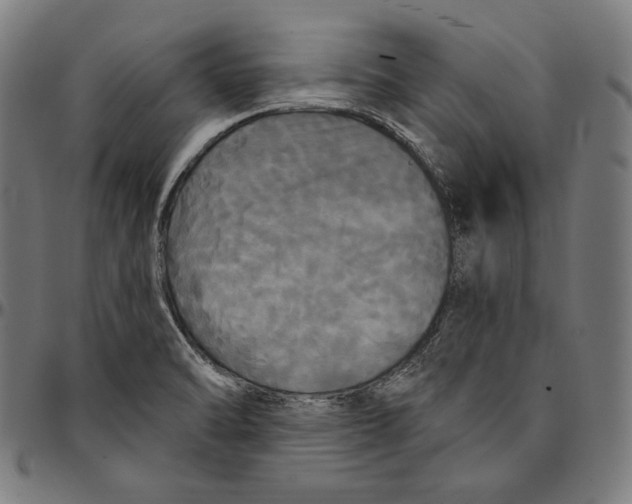 X0000095111470200801041149