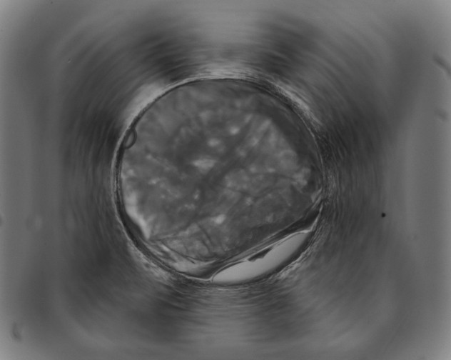 X0000095111471200801041149