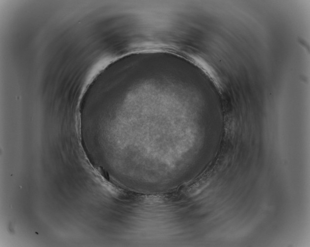 X0000095111472200801041149