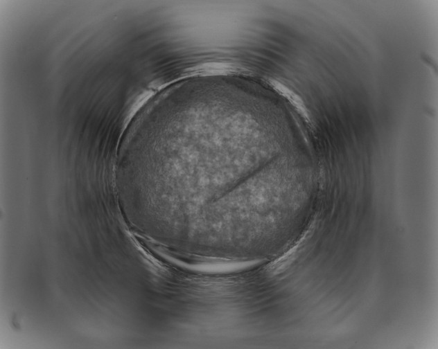 X0000095111473200801041149