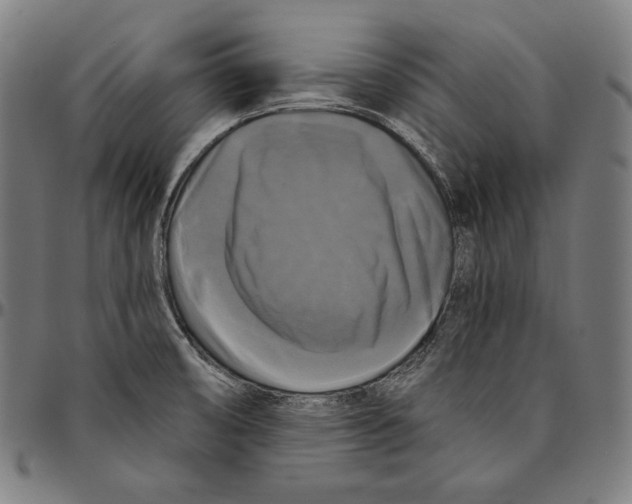 X0000095111474200801041149