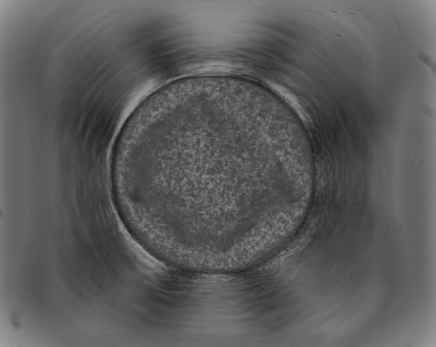 X0000095111475200801041149