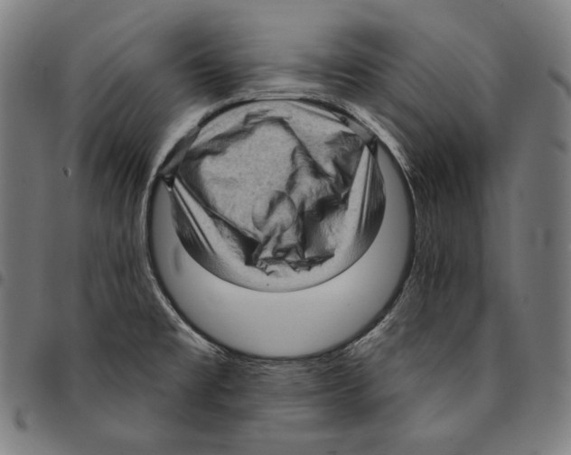 X0000095111477200801041149