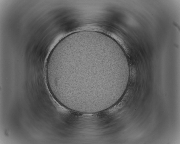 X0000095111478200801041149