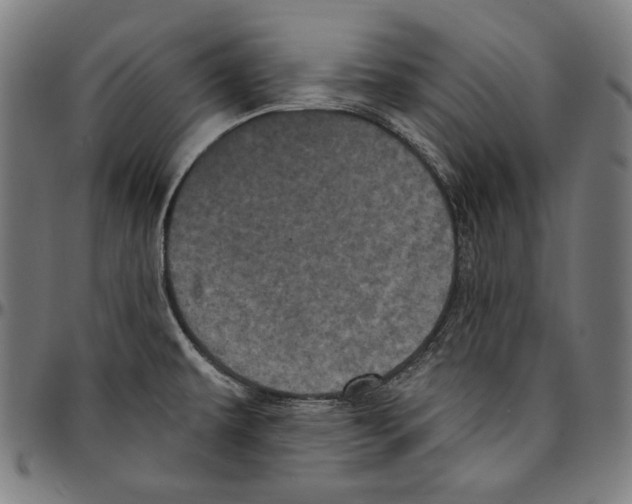 X0000095111479200801041149