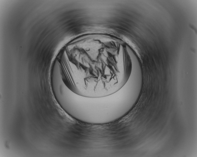 X0000095111480200801041149