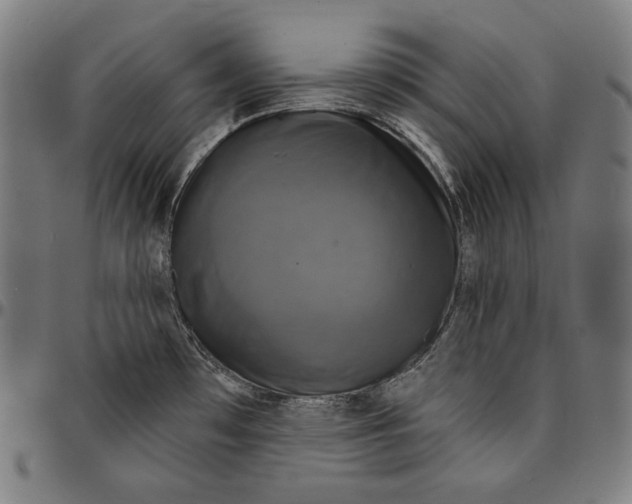 X0000095111481200801041148