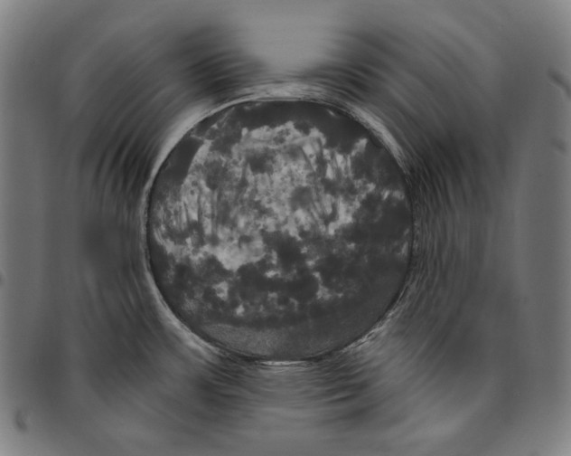 X0000095111483200801041148