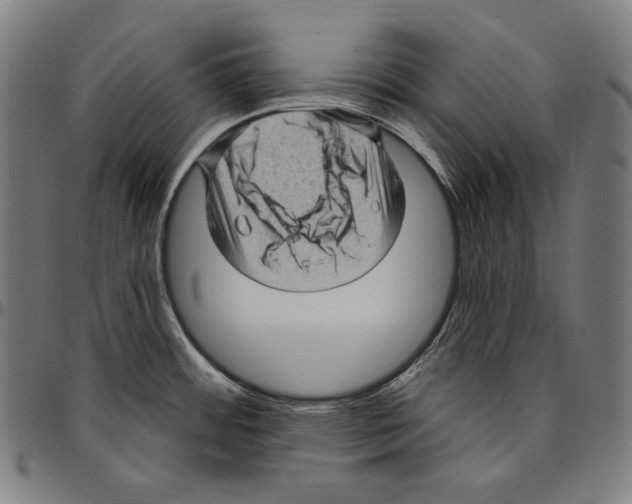 X0000095111484200801041148