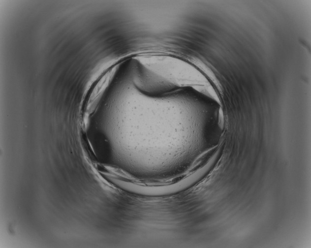 X0000095111485200801041148