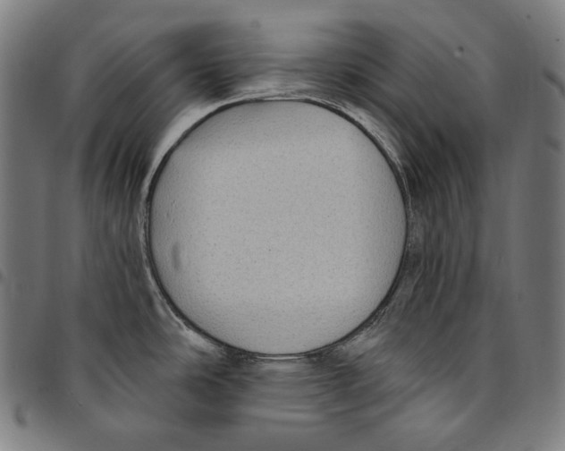 X0000095111486200801041148