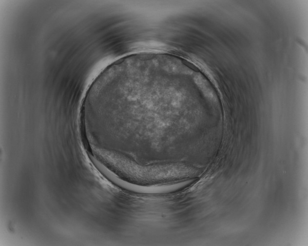 X0000095111488200801041148