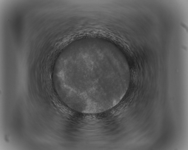 X0000095111489200801041148