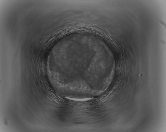 X0000095111490200801041148