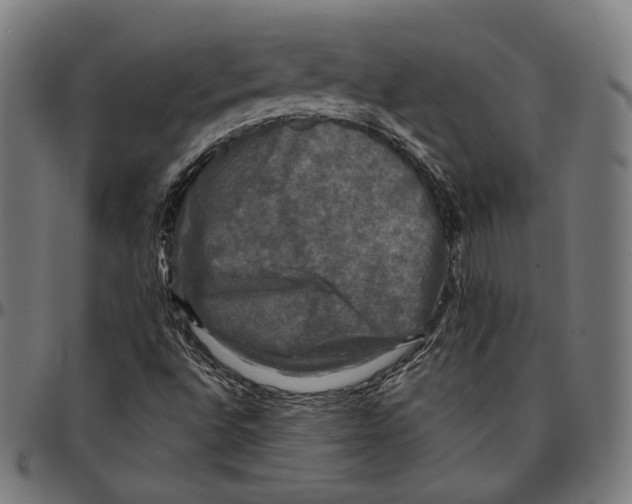 X0000095111496200801041148