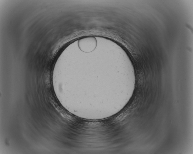 X0000095111499200801041148