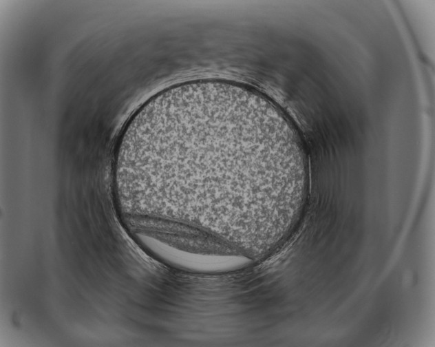 X0000095111500200801041148