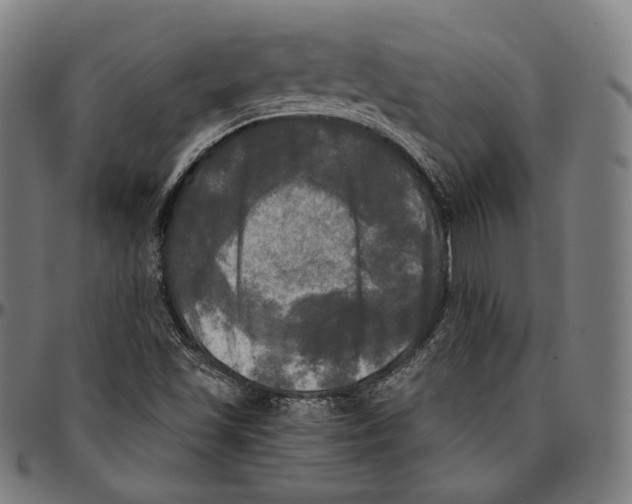 X0000095111501200801041148