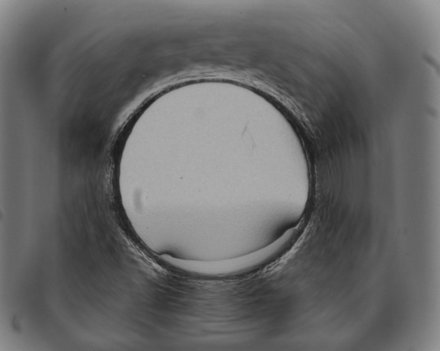 X0000095111502200801041148