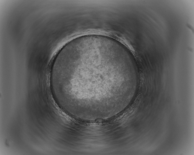 X0000095111504200801041148