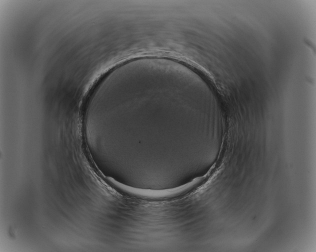 X0000095111506200801041148