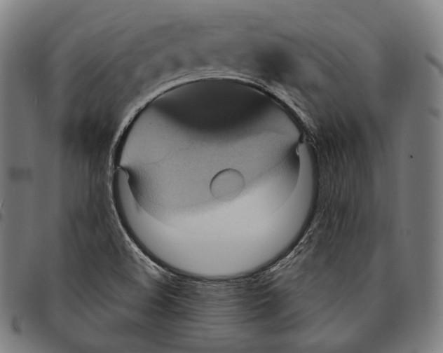 X0000095111508200801041148