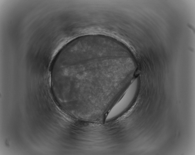 X0000095111509200801041148