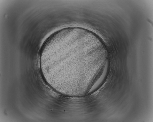 X0000095111510200801041148