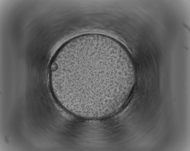 X0000095111511200801041148