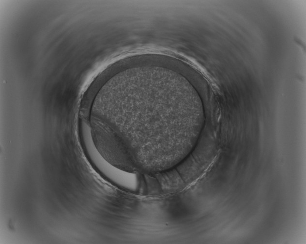 X0000095111512200801041148