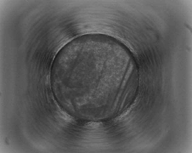 X0000095111513200801041148