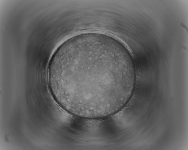 X0000095111514200801041148