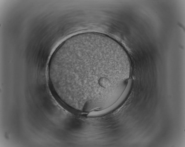 X0000095111516200801041148