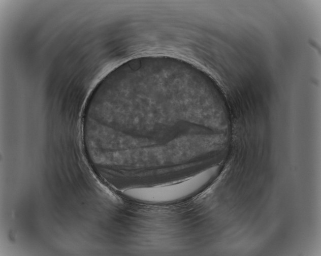 X0000095111517200801041148