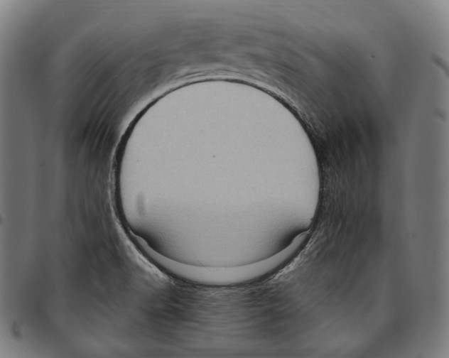 X0000095111518200801041148