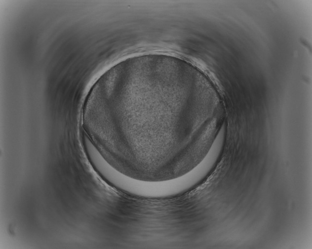 X0000095111520200801041148