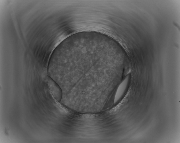 X0000095111521200801041148