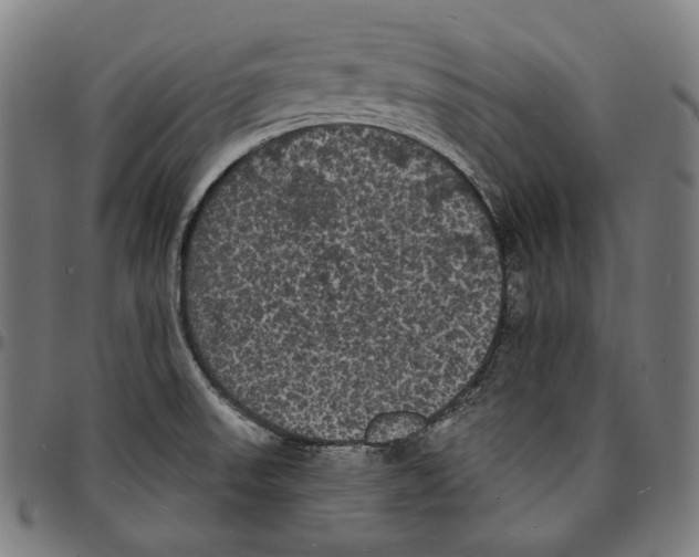 X0000095111523200801041148