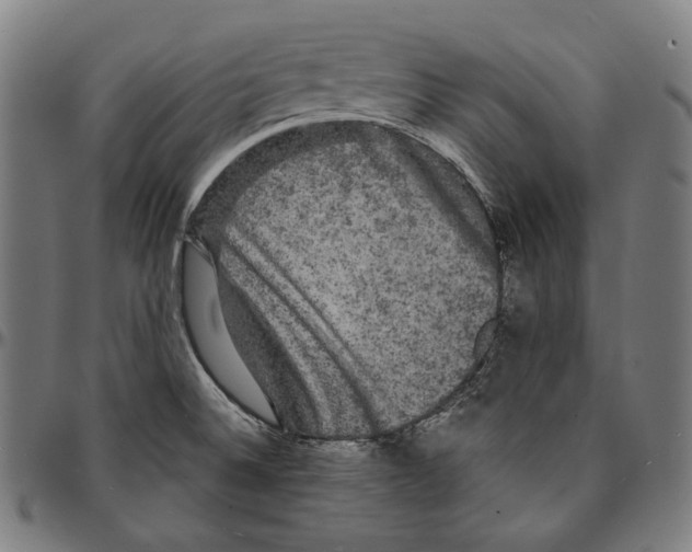 X0000095111524200801041148