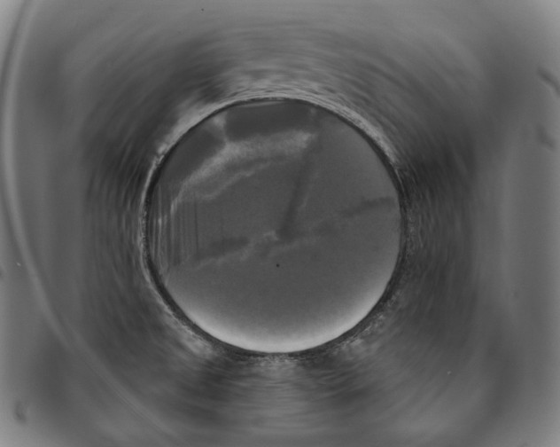 X0000095111525200801041148