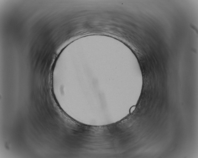 X0000095111526200801041148