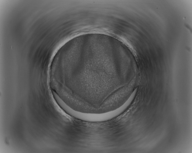 X0000095111528200801041148