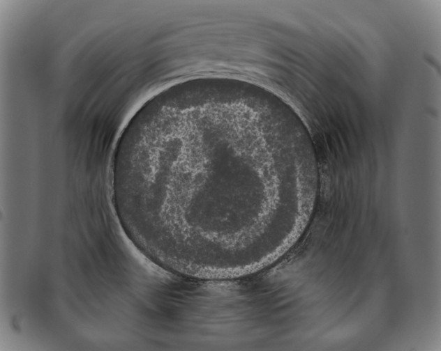 X0000095111531200801041148