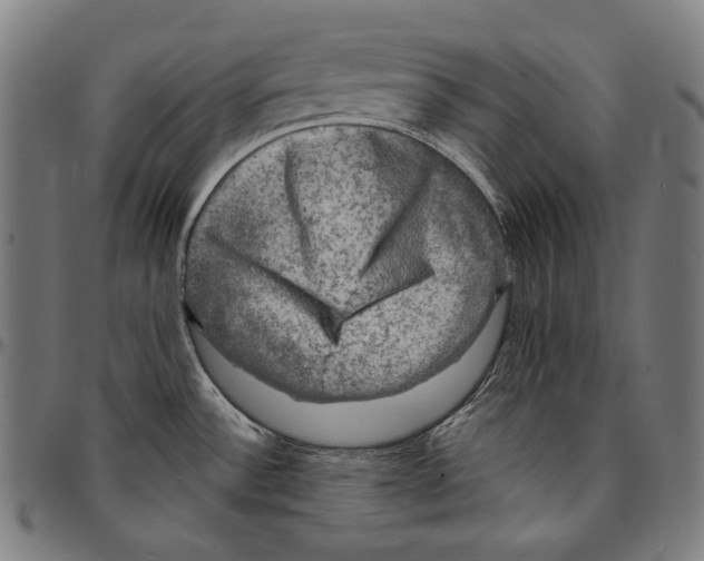 X0000095111532200801041148