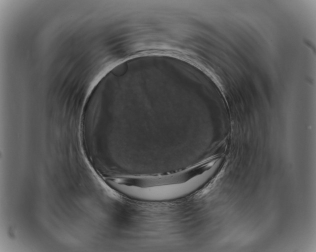 X0000095111533200801041148